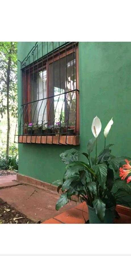 Jardin De Naipi 2 Apartment Puerto Iguazú Exterior foto